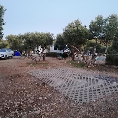Camp Kopito Hotel Hvar Town Luaran gambar