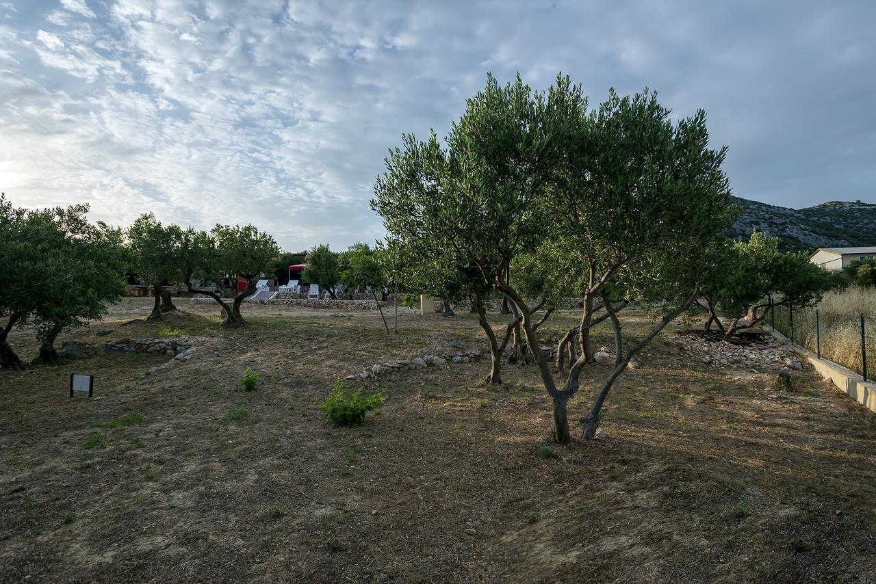 Camp Kopito Hotel Hvar Town Luaran gambar